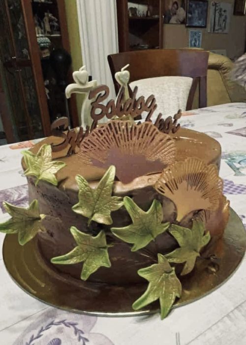 558000862_1299925555255678_9031902380148109787_n